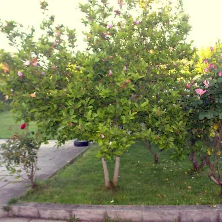 Vakantiehuis Retiro Na Natureza Casa Com Piscina Digueifel