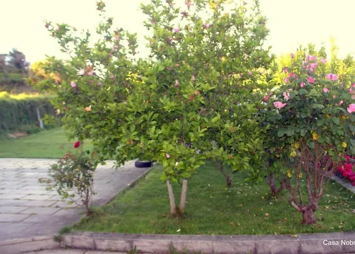 Holiday home Retiro Na Natureza - Casa Com Piscina Digueifel